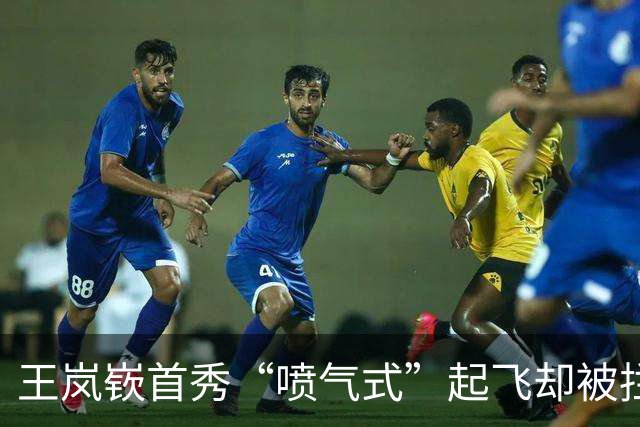 王岚嵚首秀“喷气式”起飞却被拦，山东男篮的3000万买的是什么？